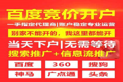某公司SEM推广的失败教训与成功经验